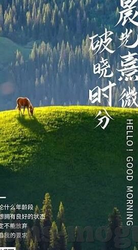 成人在线视频电影-成人在线视频电影，探索现代娱乐的多元化与界限