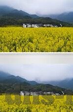 麻豆传媒小视频-麻豆传媒小视频，数字时代文化生态的微妙探索