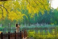 麻豆传媒在线免费看-探秘互联网视听盛宴，麻豆传媒的独特魅力
