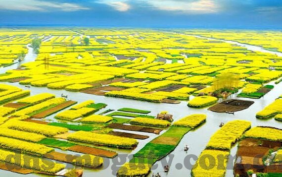 麻豆自制传媒app-探讨麻豆自制传媒app在数字时代的创新与影响
