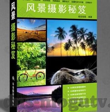 人妻福利导航-探索生活新视角，人妻的温馨导航站