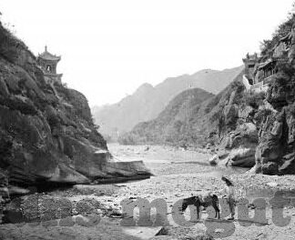 人妻无码中文字幕-探索家庭与情感的细腻交织——人妻视角下的生活故事