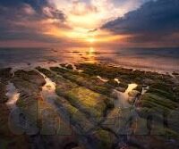 糖心app最新下载地址-甜蜜的诱惑，揭秘糖心app最新下载通道