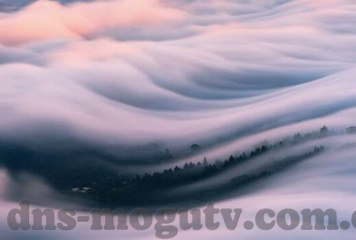 糖心官网app-糖心体验，解锁全新社交互动的数字乐园