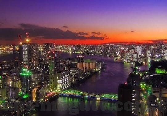 糖心视频app下载安装软件-谨慎对待网络视频APP的全面指南