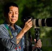 在线播放一区二区三区-探索在线播放的多元化区域，一区、二区、三区的独特魅力